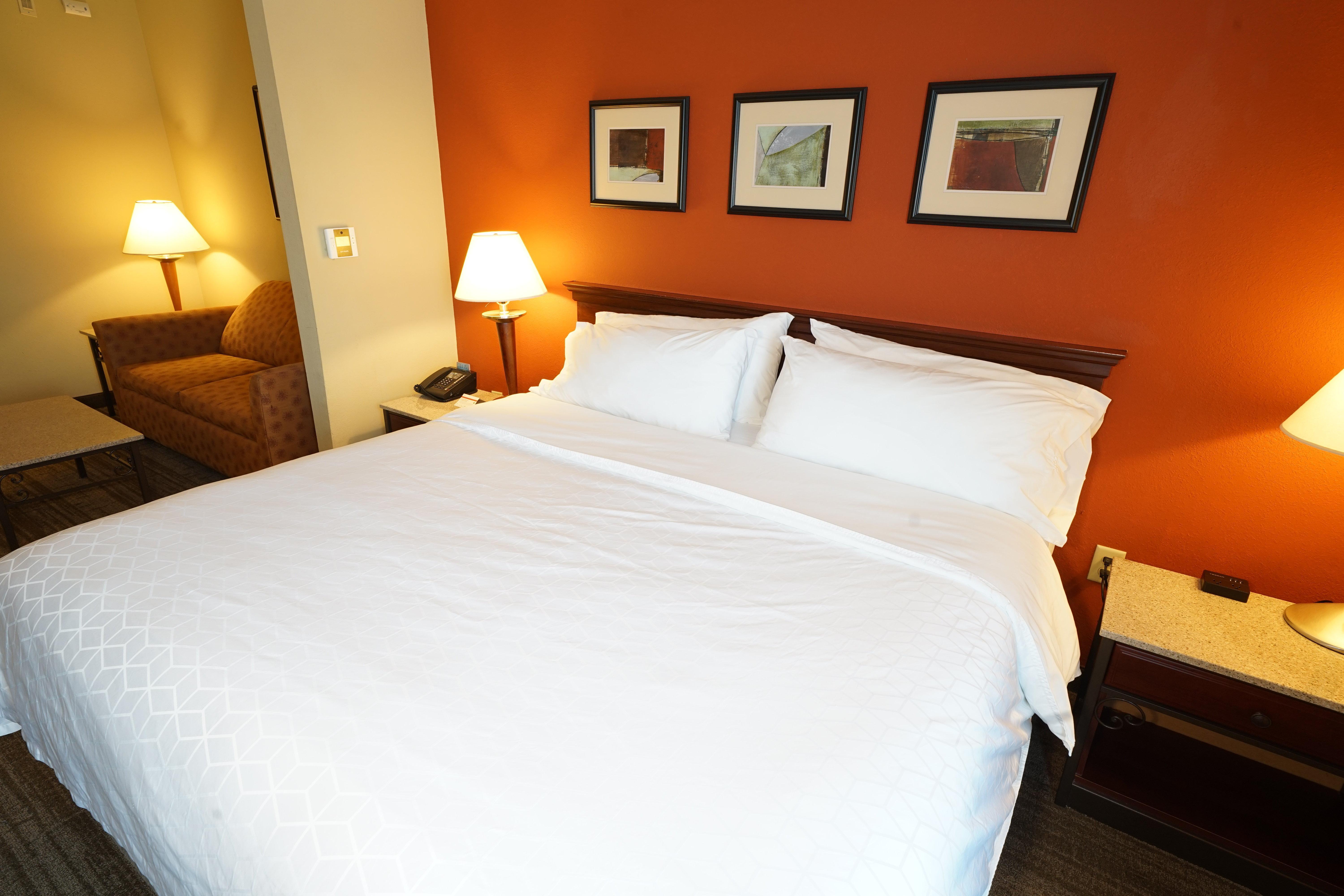 Holiday Inn Express Hotel & Suites Tampa-Oldsmar By Ihg Exterior foto